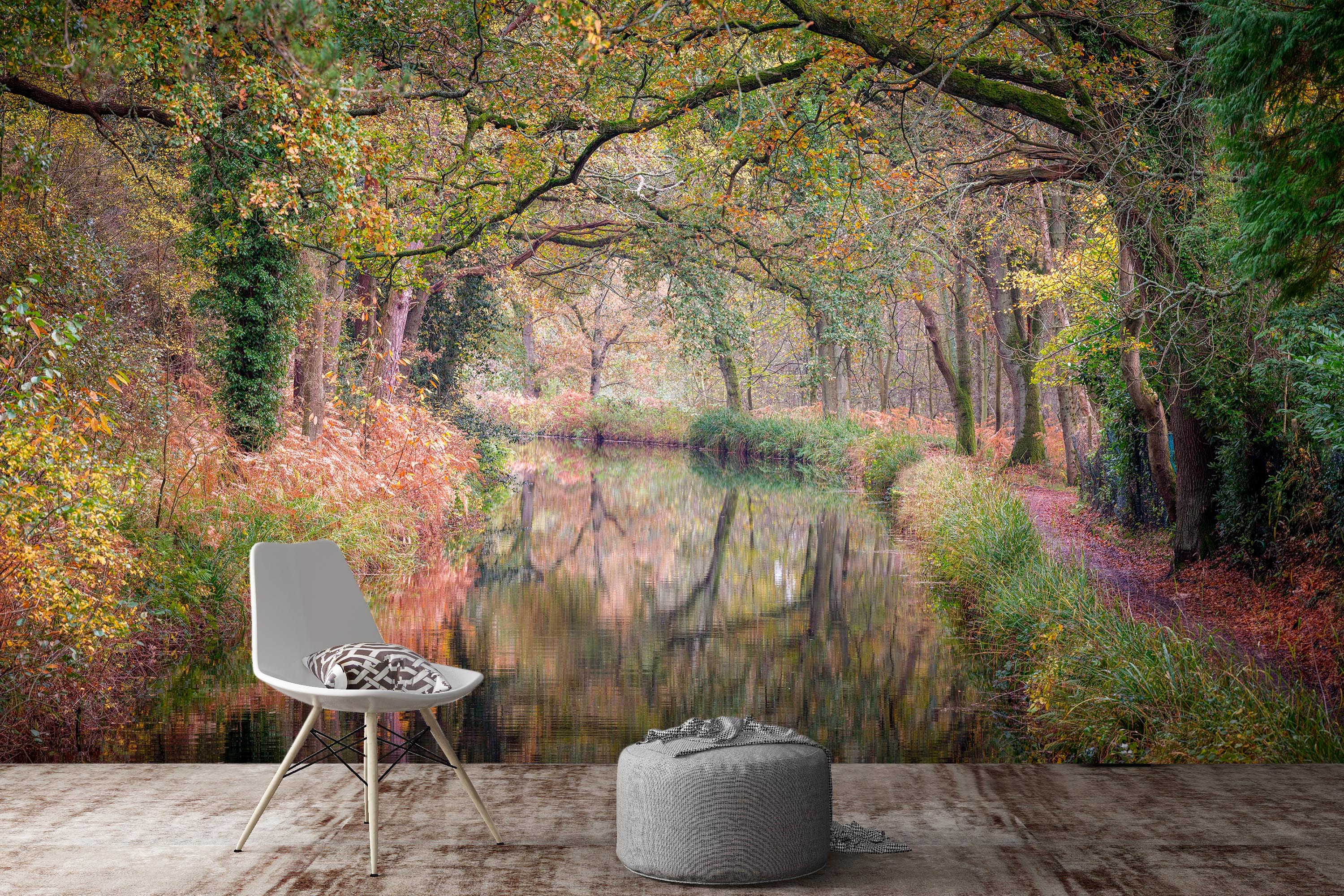 3D Branch River 6148 Assaf Frank Wall Mural Wall Murals