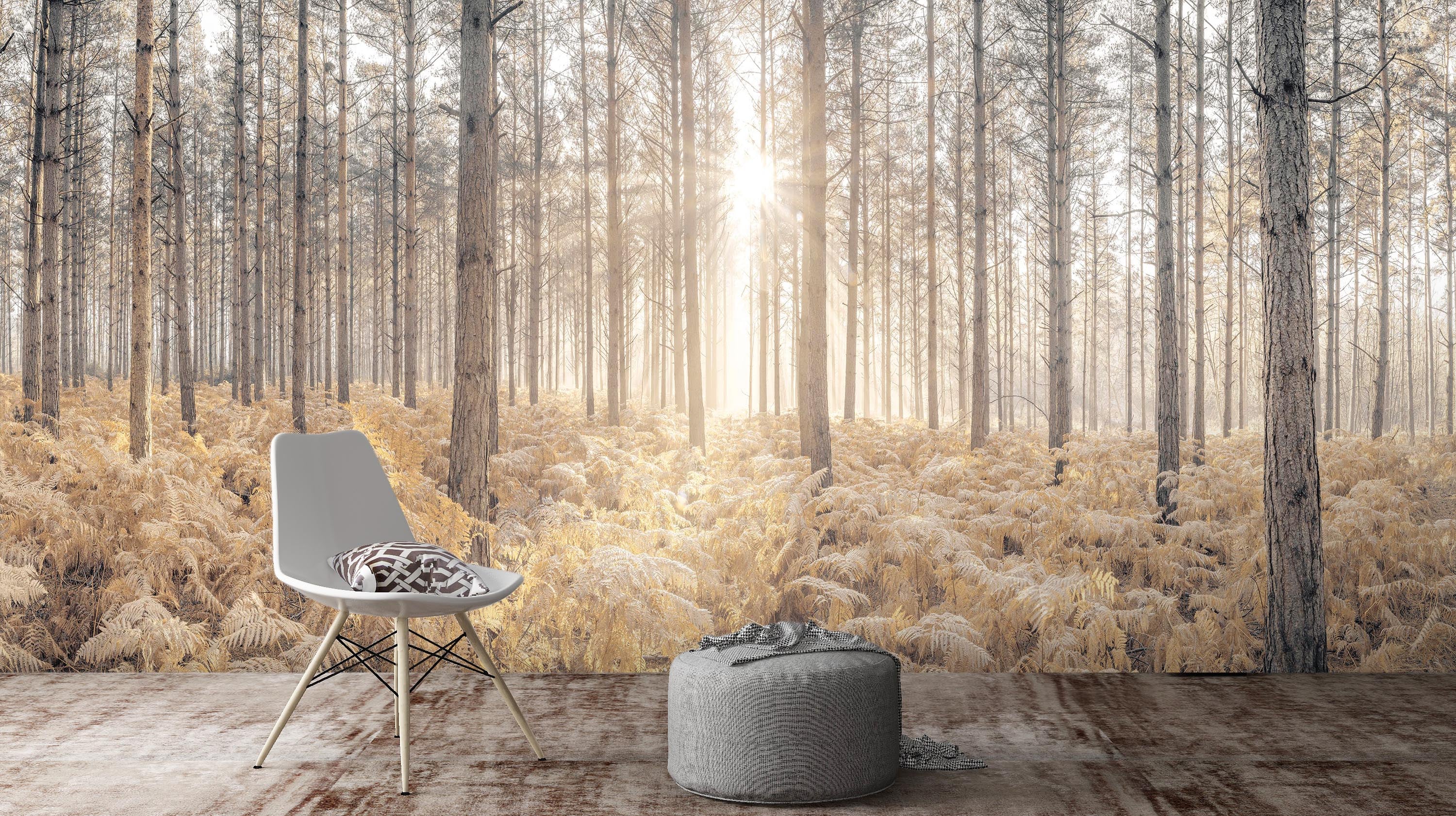 3D Forest Sunshine 6152 Assaf Frank Wall Mural Wall Murals