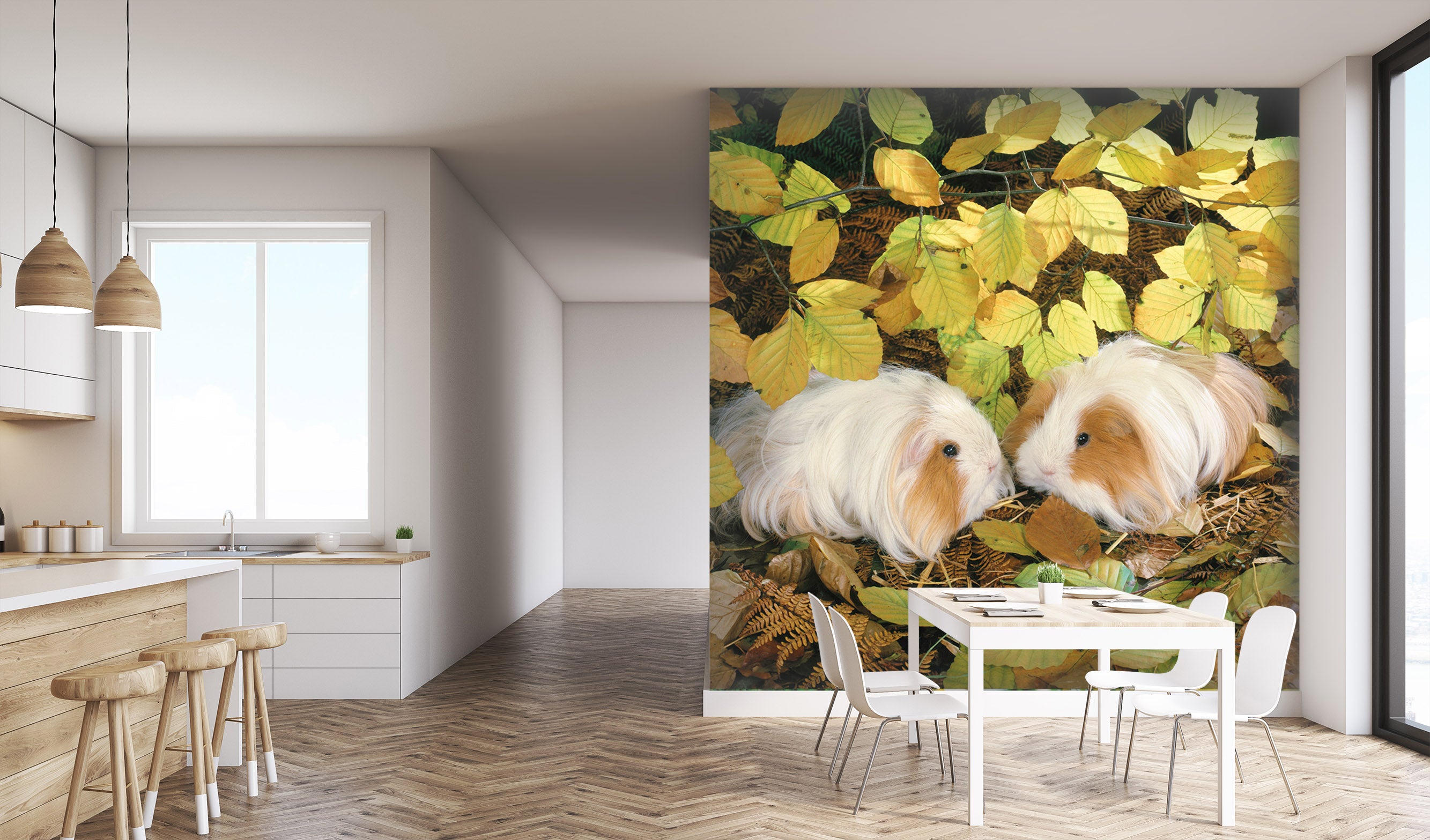 3D Long Haired Rabbit 172 Wall Murals