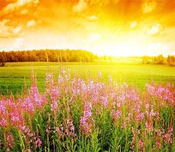 3D Sunshine Fields Flower 98 Wallpaper AJ Wallpaper 