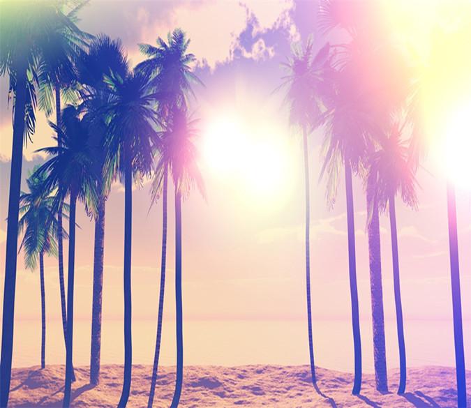 3D Sunshine Coconut Trees 038 Wallpaper AJ Wallpaper 