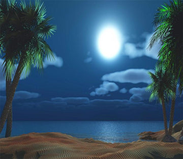 3D Moon Sky Beach Night 628 Wallpaper AJ Wallpaper 