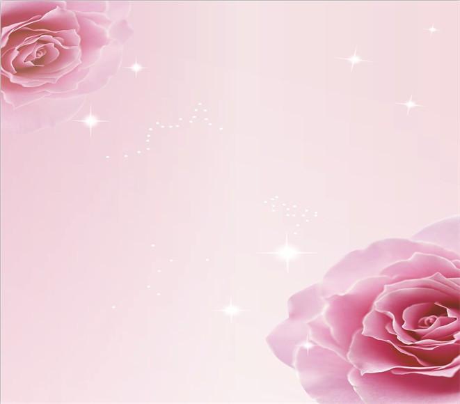 Pink Flowers 4 Wallpaper AJ Wallpaper 