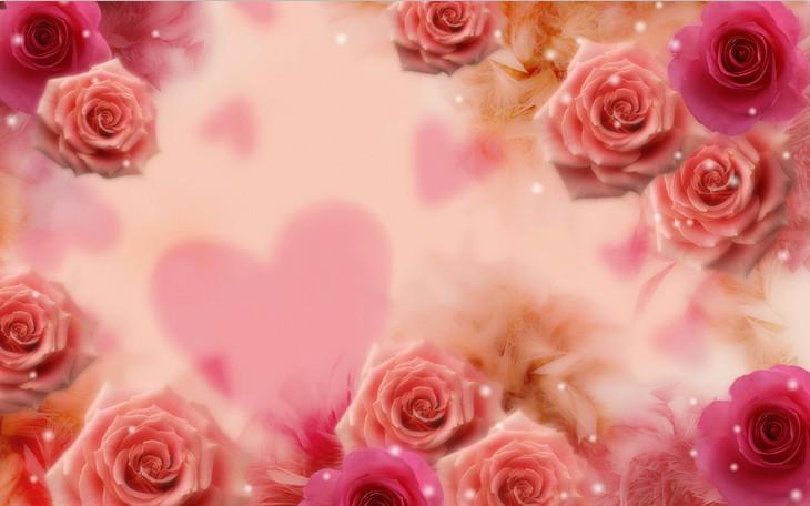 Pink Roses 2 Wallpaper AJ Wallpaper 