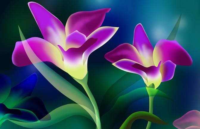 Beautiful Purple Flowers Wallpaper AJ Wallpaper 