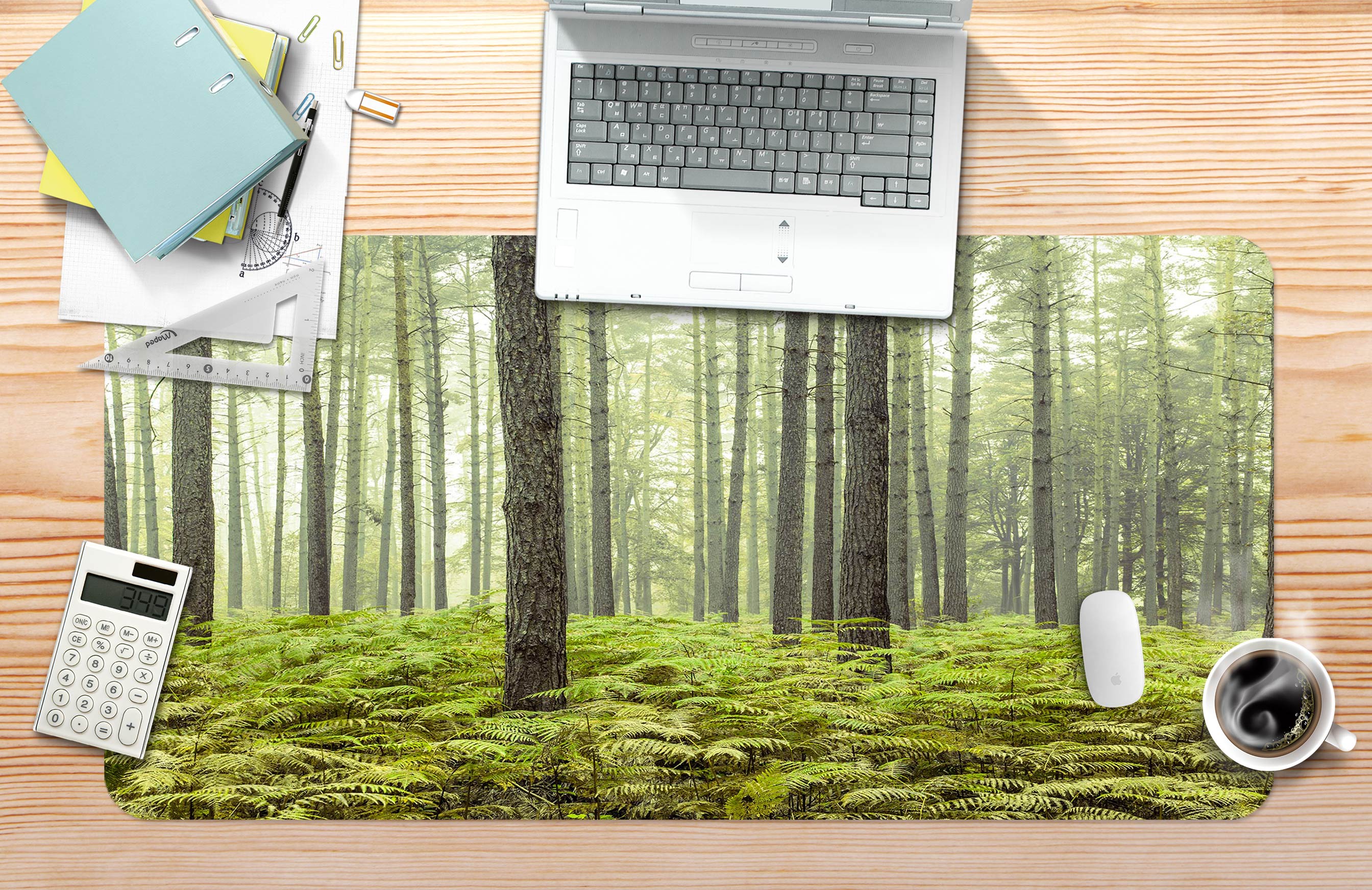 3D Woods Meadow 123110 Assaf Frank Desk Mat