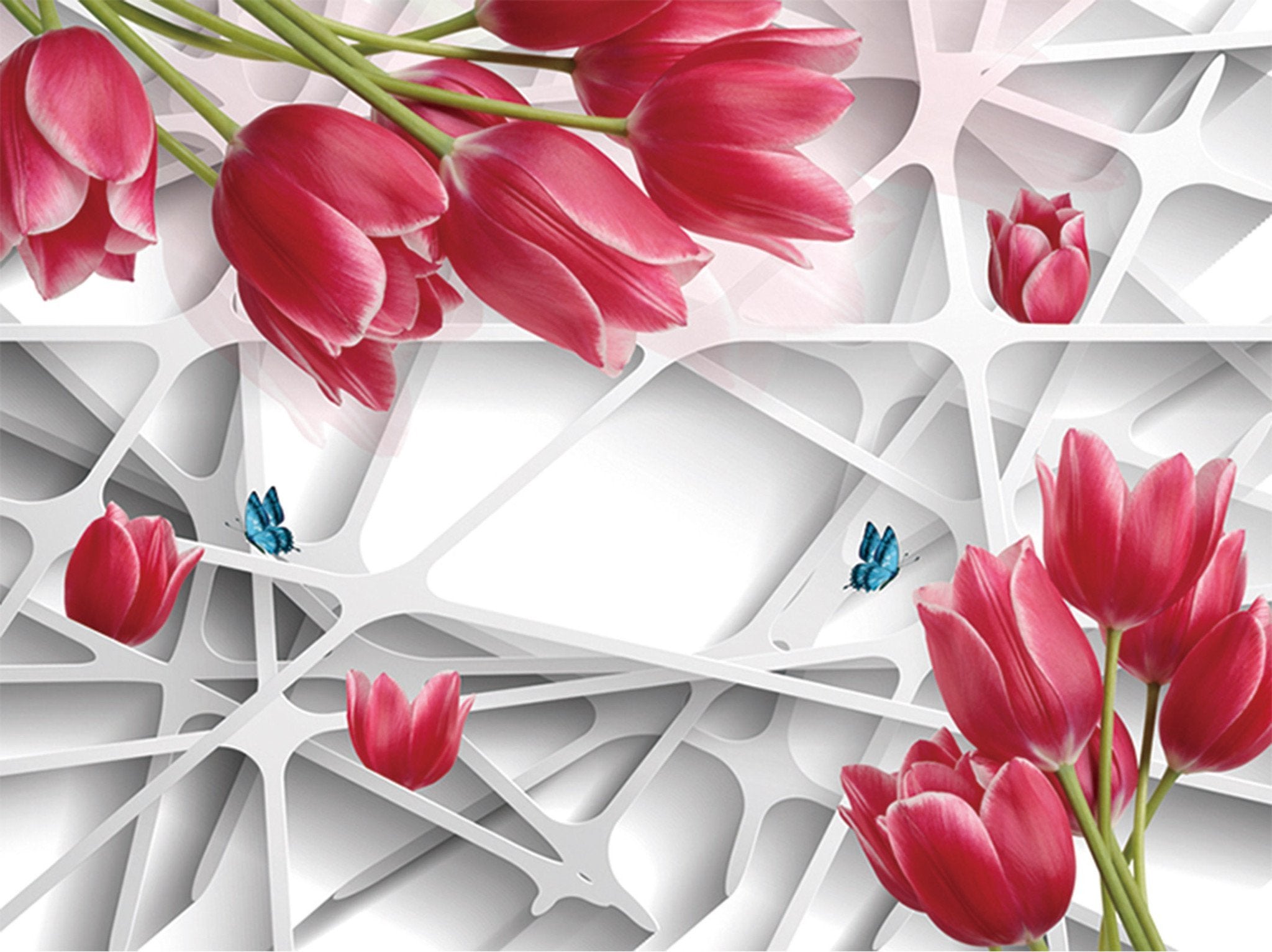 Irregular Grids Flowers Butterflies Wallpaper AJ Wallpaper 