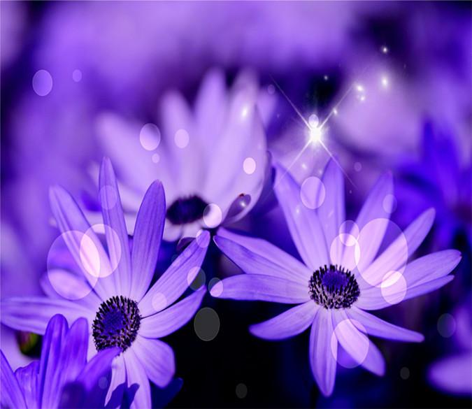 3D Purple Blossoming Jasmines 44 Wallpaper AJ Wallpaper 