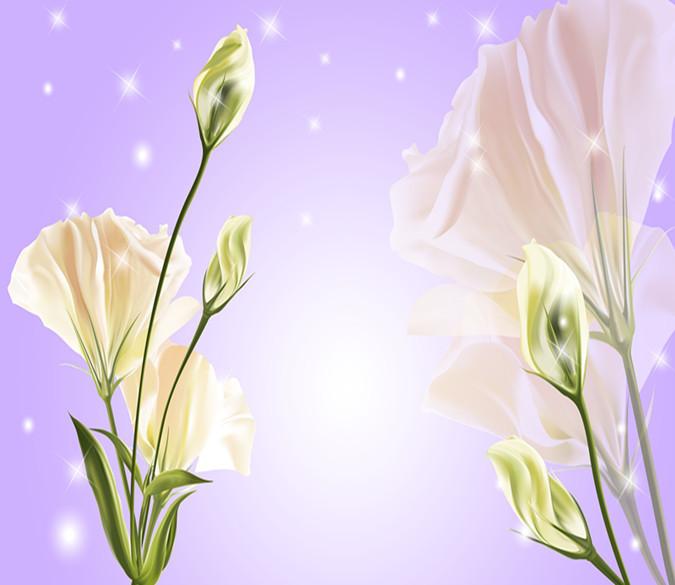 3D Pure Morning Glory 365 Wallpaper AJ Wallpaper 