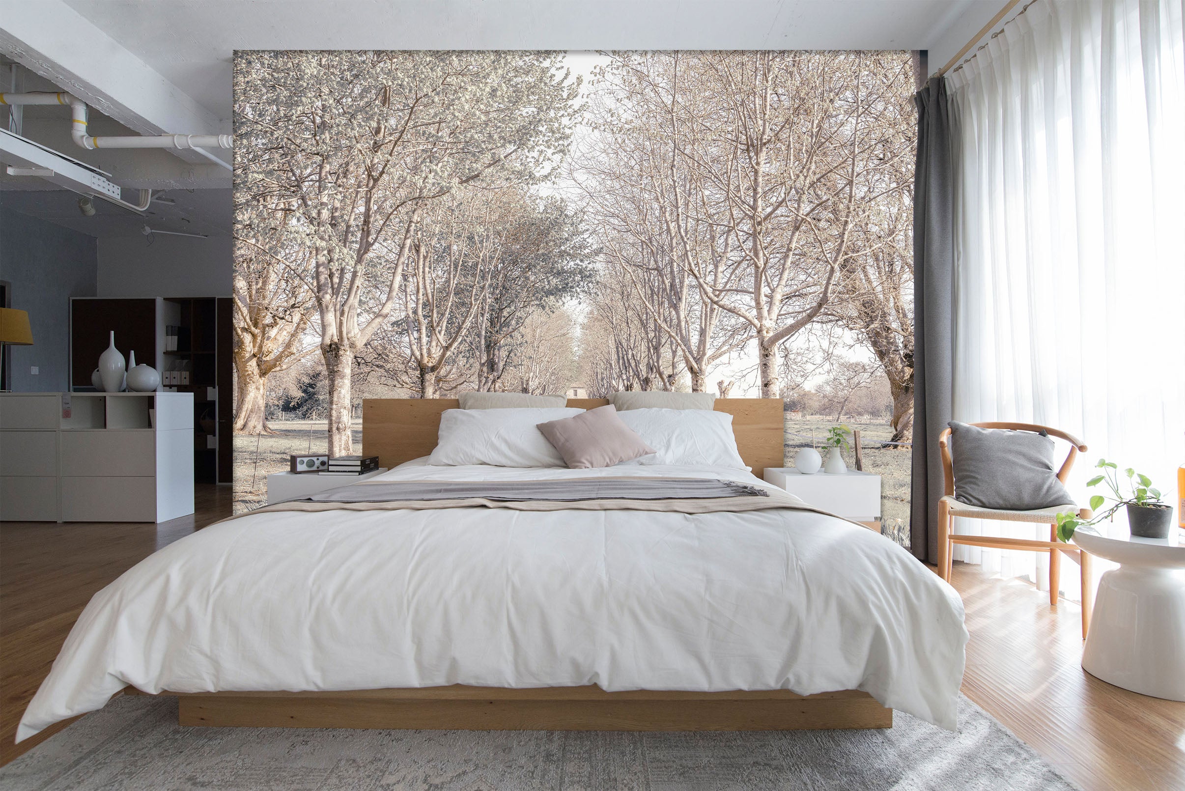 3D White Trees 6173 Assaf Frank Wall Mural Wall Murals