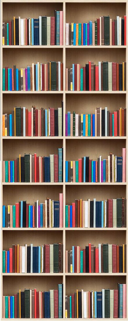 3D put the book cabinet door mural Wallpaper AJ Wallpaper 