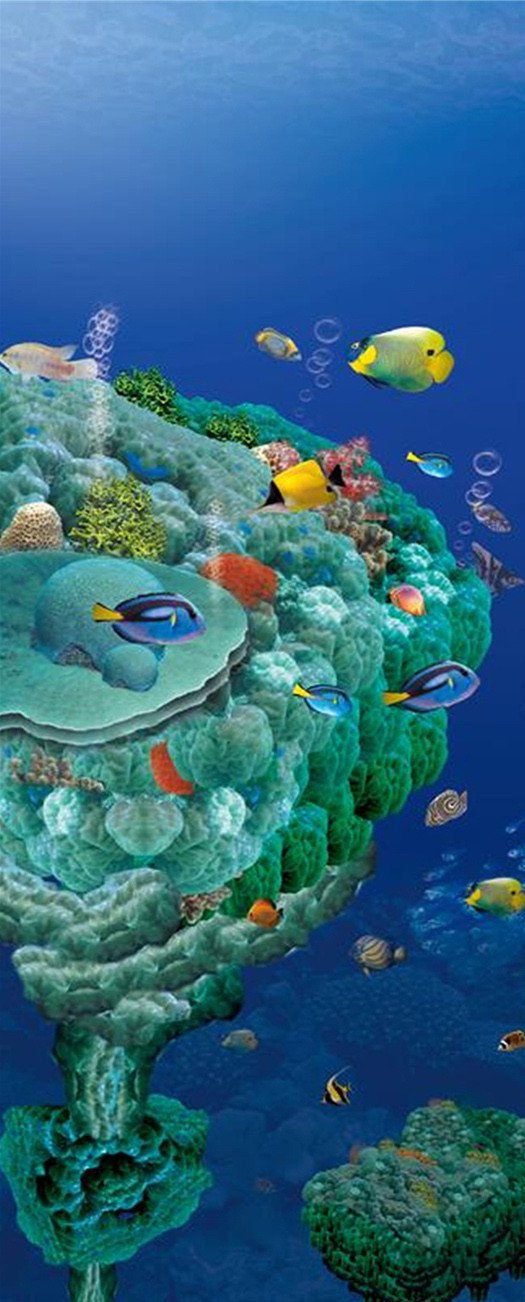 3D the wonders of the world in the seadoor mural Wallpaper AJ Wallpaper 