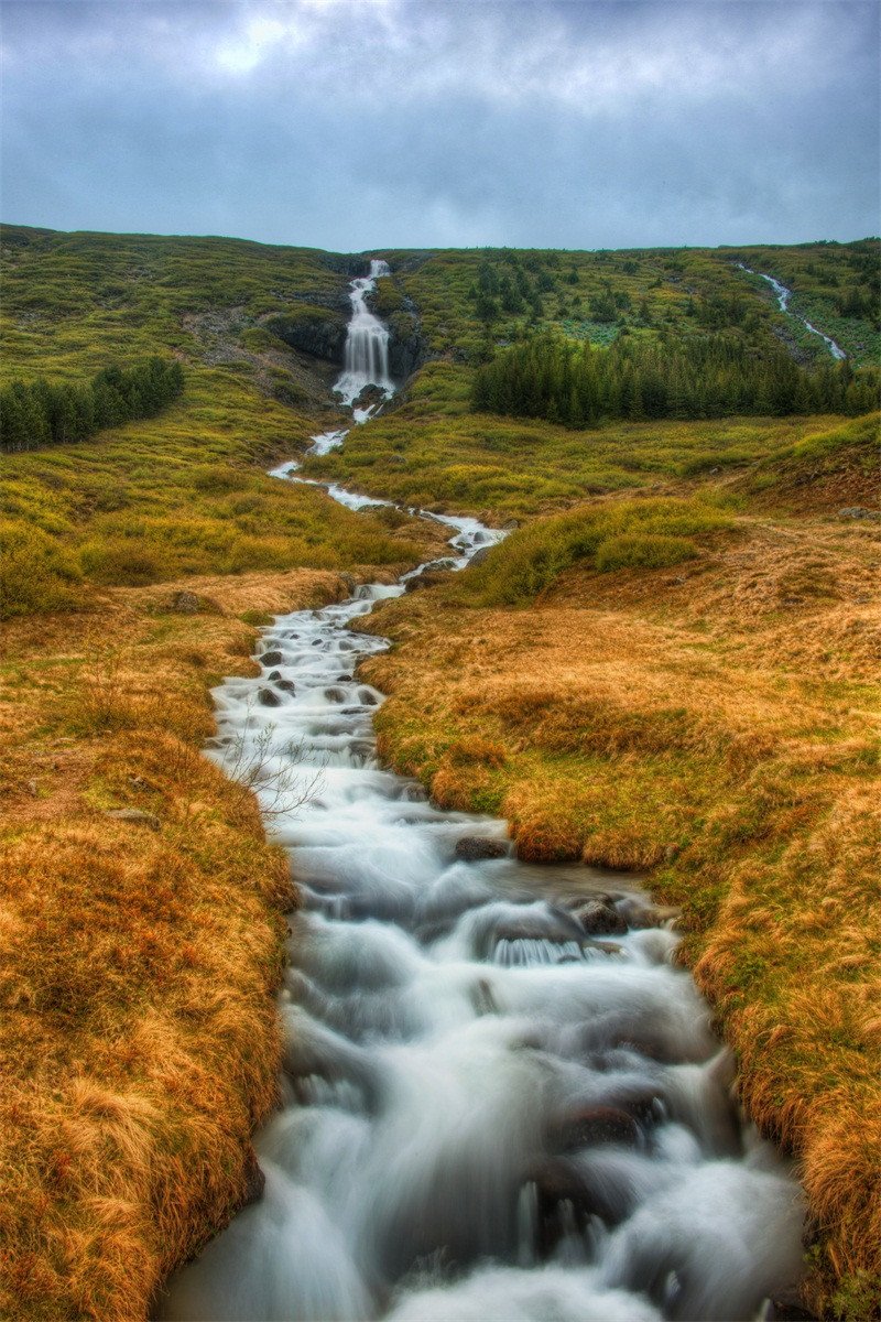 3D Wilderness Creek 661 Stair Risers Wallpaper AJ Wallpaper 