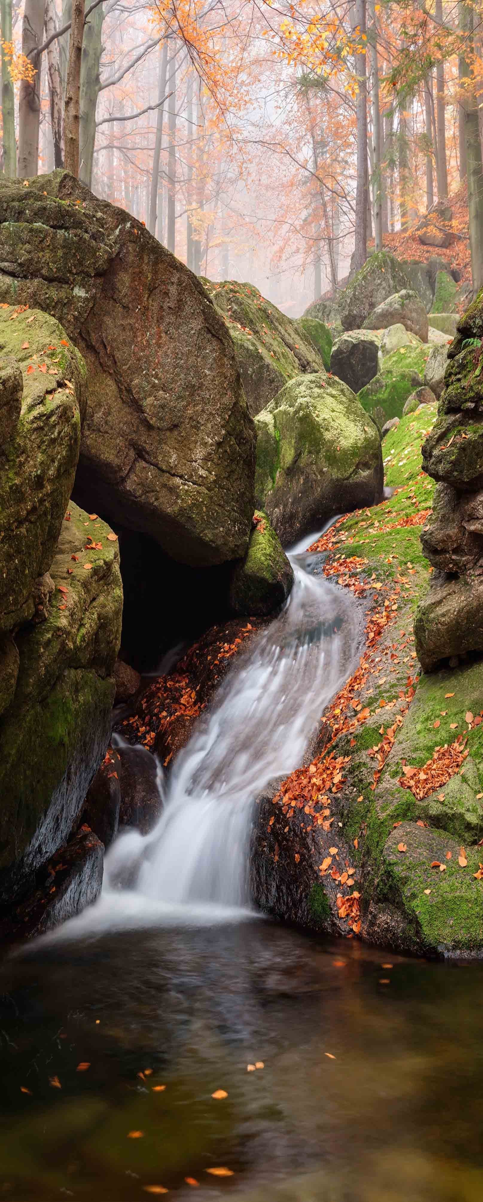 3D Rocks Flowing Stream 841 Stair Risers Wallpaper AJ Wallpaper 