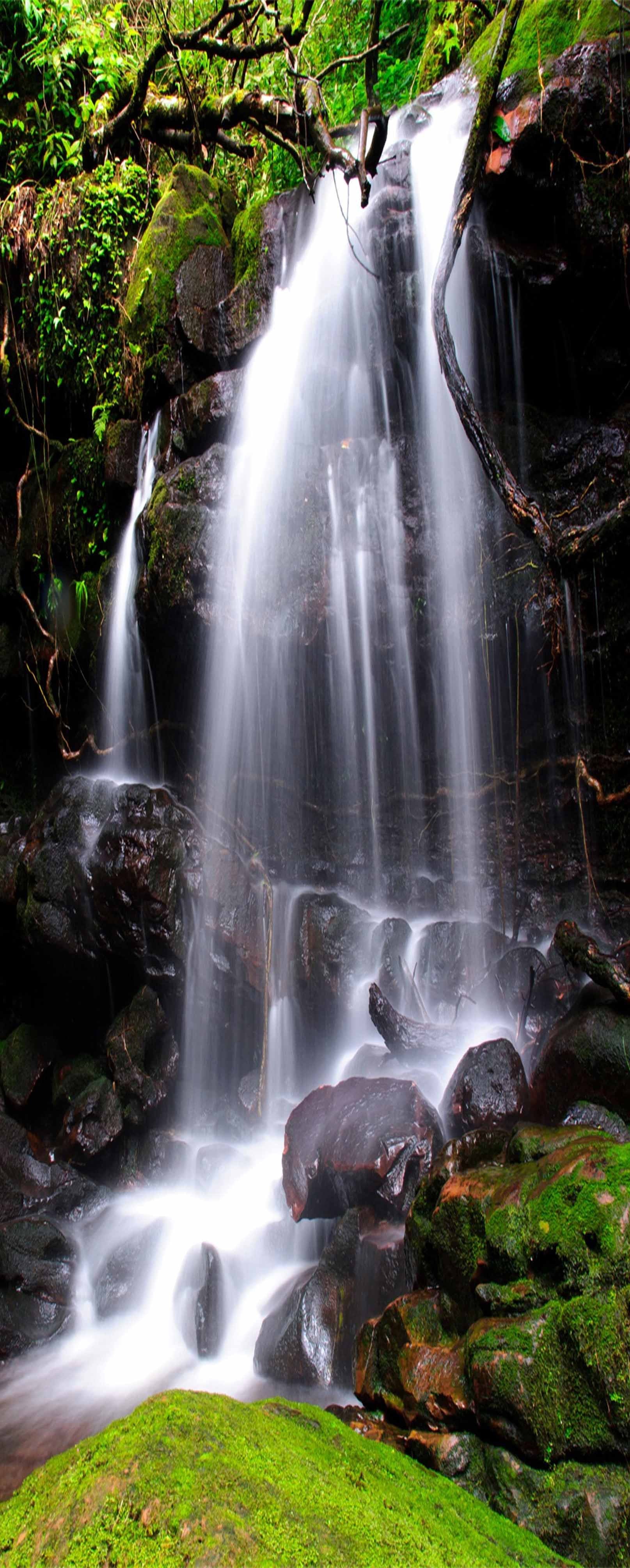 3D Waterfall Rocks 1170 Stair Risers Wallpaper AJ Wallpaper 