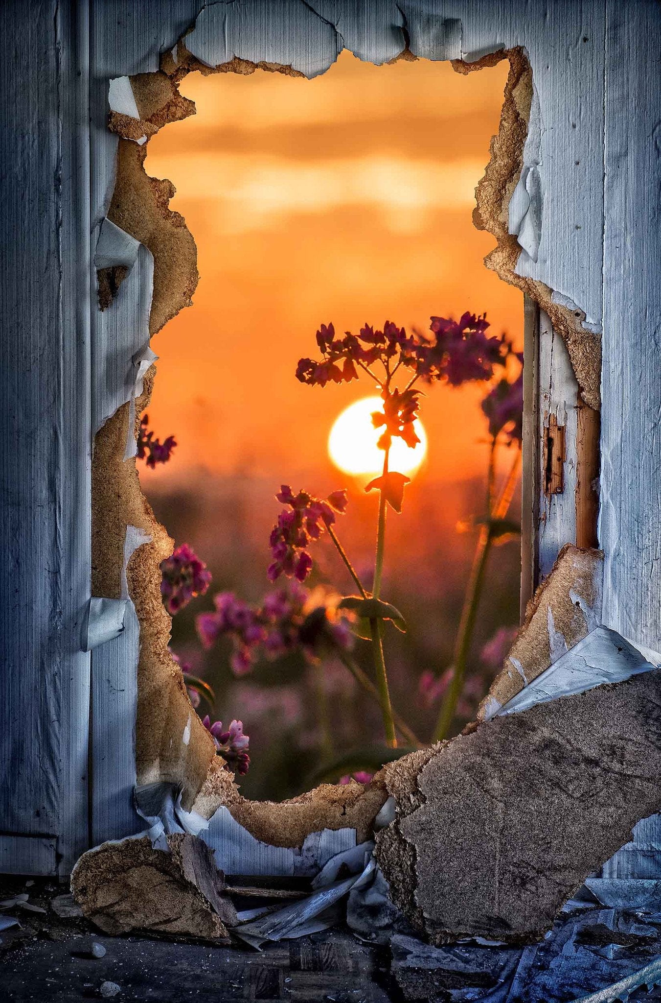 3D Hole Sunset Flowers 17 Door Mural Wallpaper AJ Wallpaper 