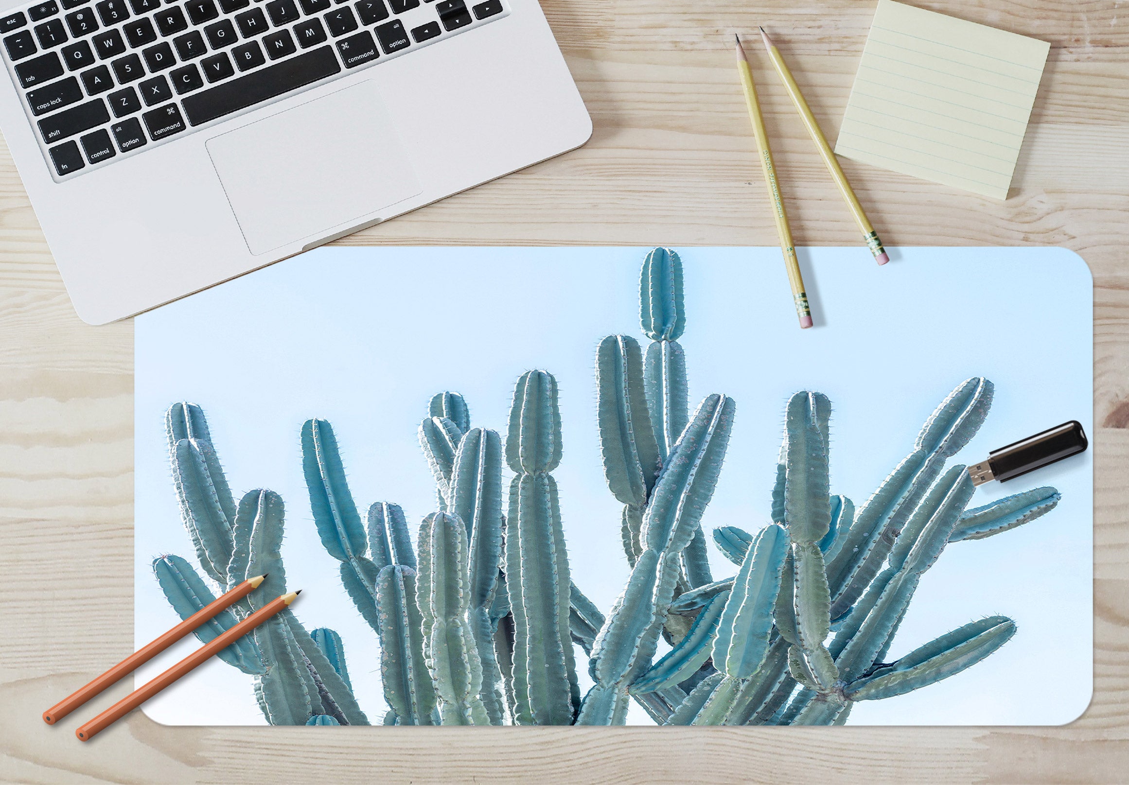 3D Cactus 12426 Assaf Frank Desk Mat