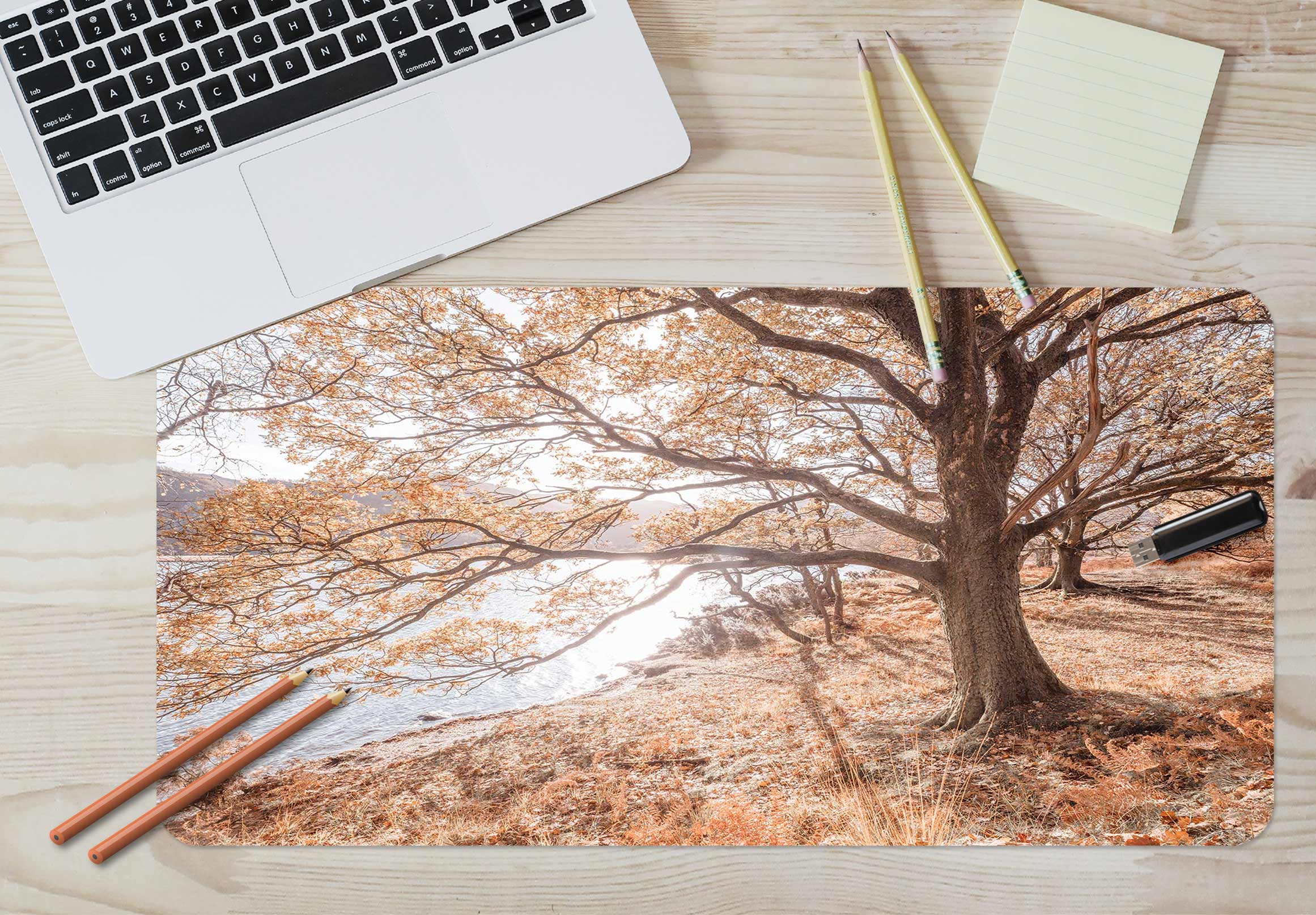 3D Riverside Big Tree 12445 Assaf Frank Desk Mat