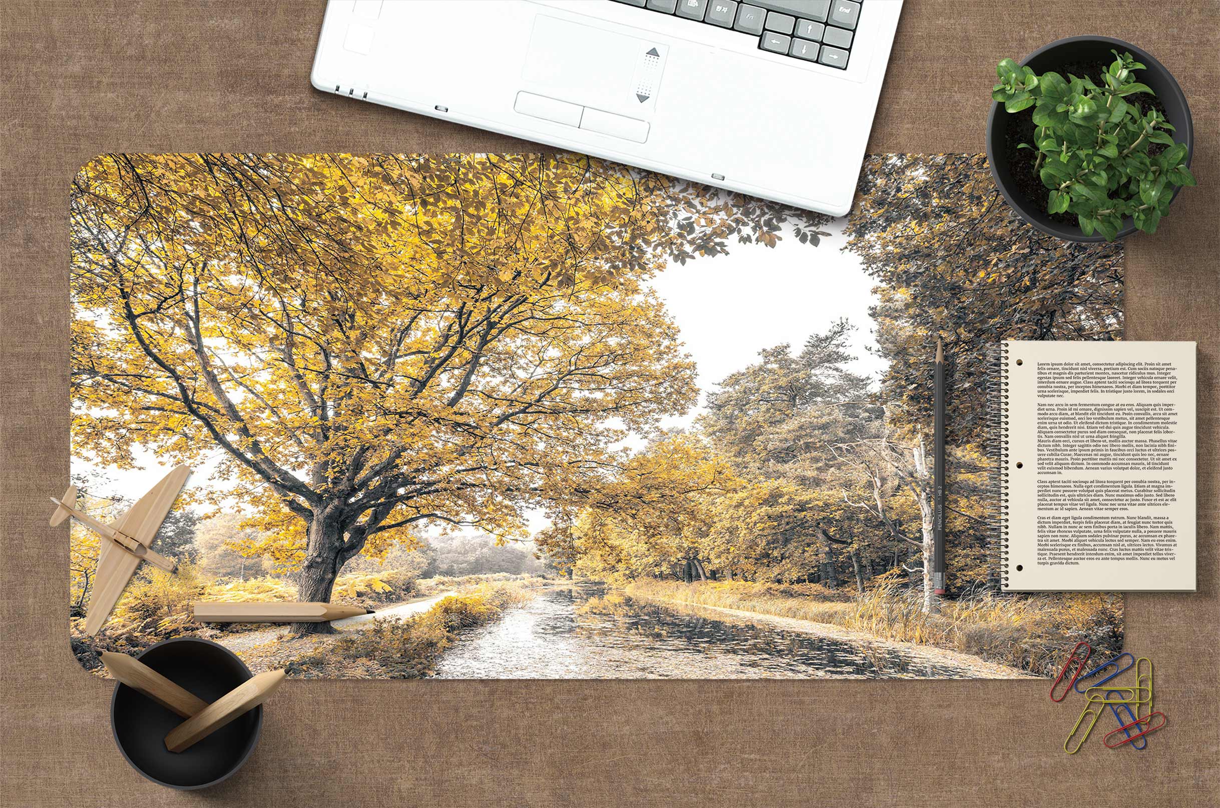 3D Tree River 12414 Assaf Frank Desk Mat