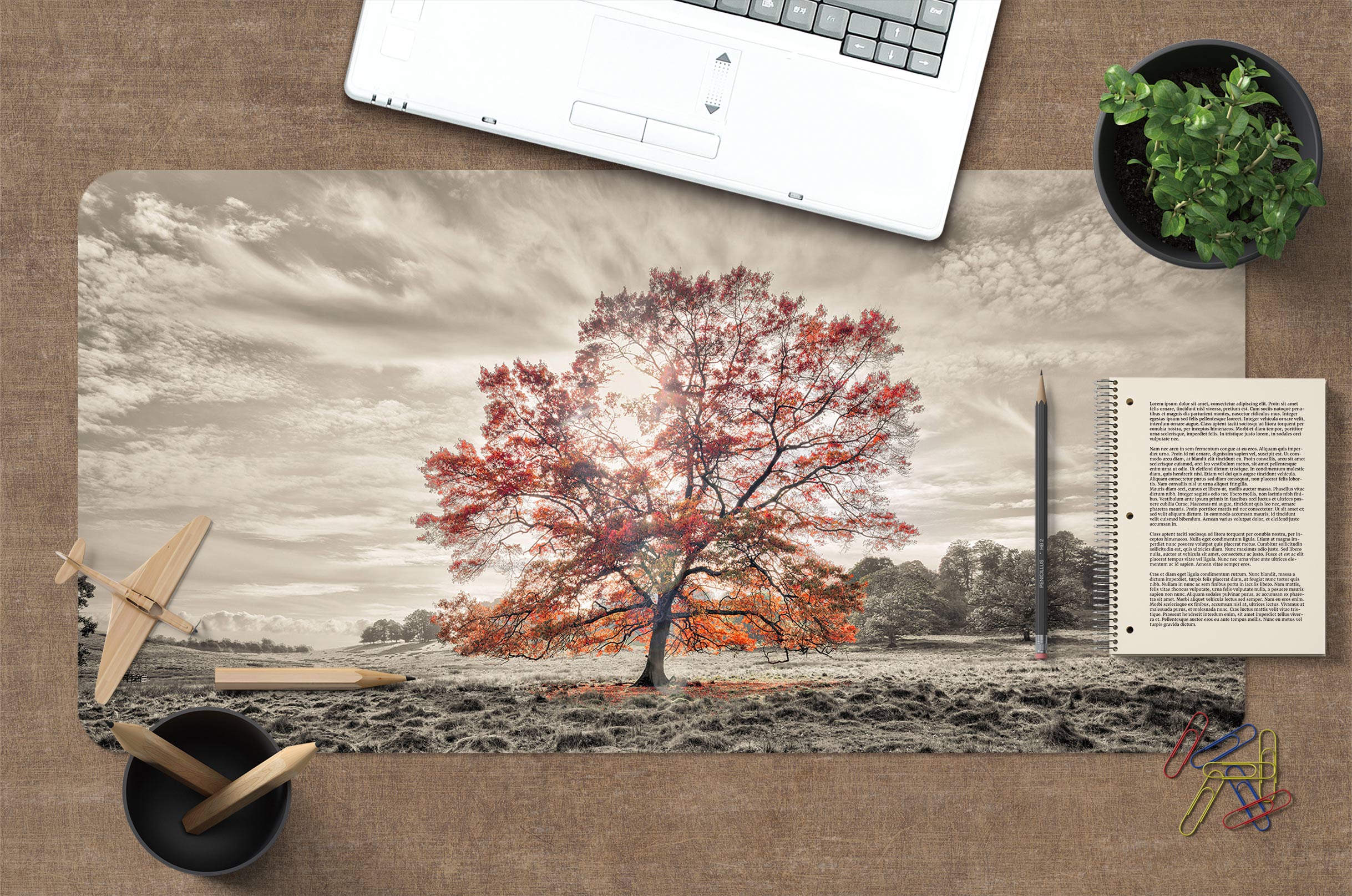 3D Tree Lawn 12439 Assaf Frank Desk Mat