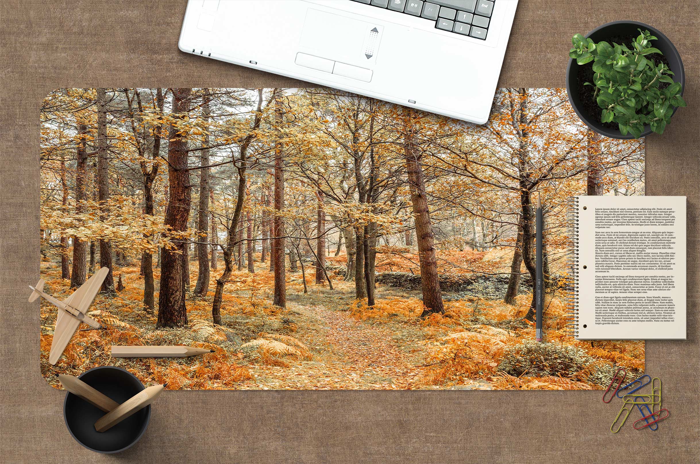 3D Autumn Forest 12442 Assaf Frank Desk Mat