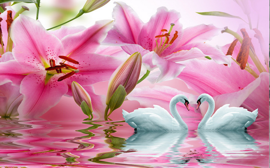 Pink Lilies Wallpaper AJ Wallpaper 