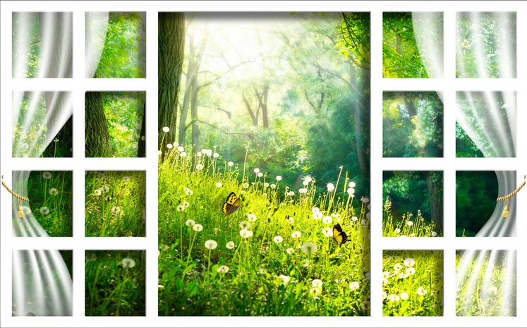 Window Forest Wallpaper AJ Wallpaper 