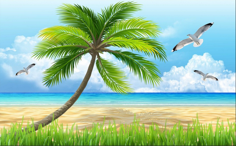 Beach Seagulls Wallpaper AJ Wallpaper 