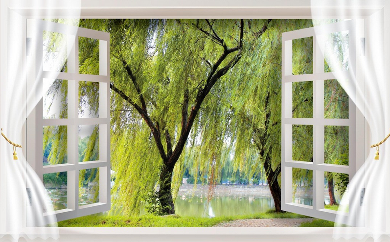 Window Willow Trees Wallpaper AJ Wallpaper 