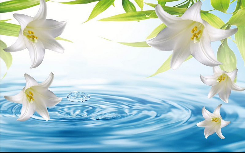 Fresh Lilies Wallpaper AJ Wallpaper 