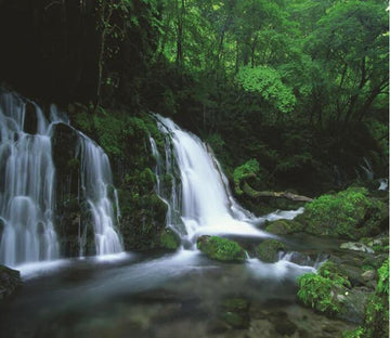 Green Forest And Pouring Water 5 Wallpaper AJ Wallpaper 1 