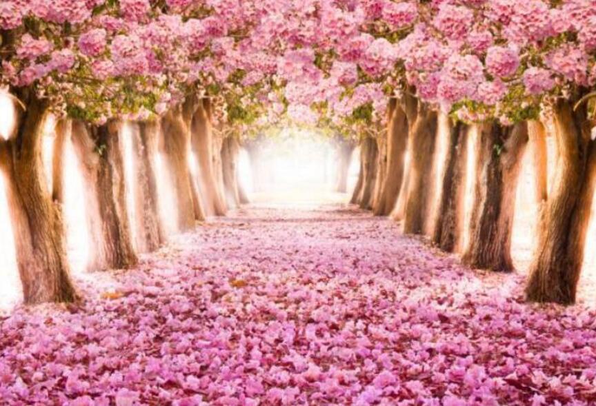 3D Road Flowers Trees 908 Curtains Drapes Wallpaper AJ Wallpaper 