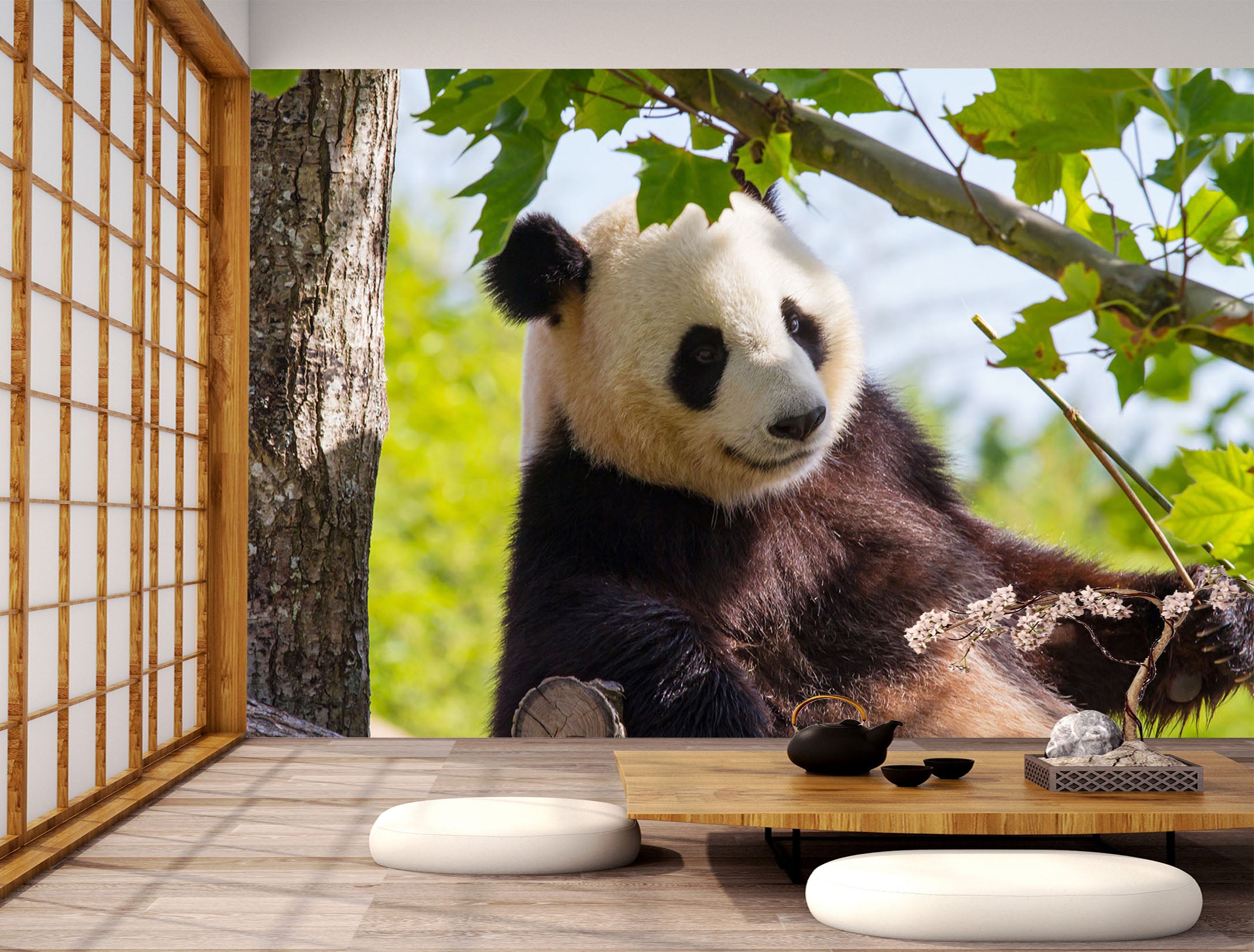 3D Giant Panda 248 Wall Murals