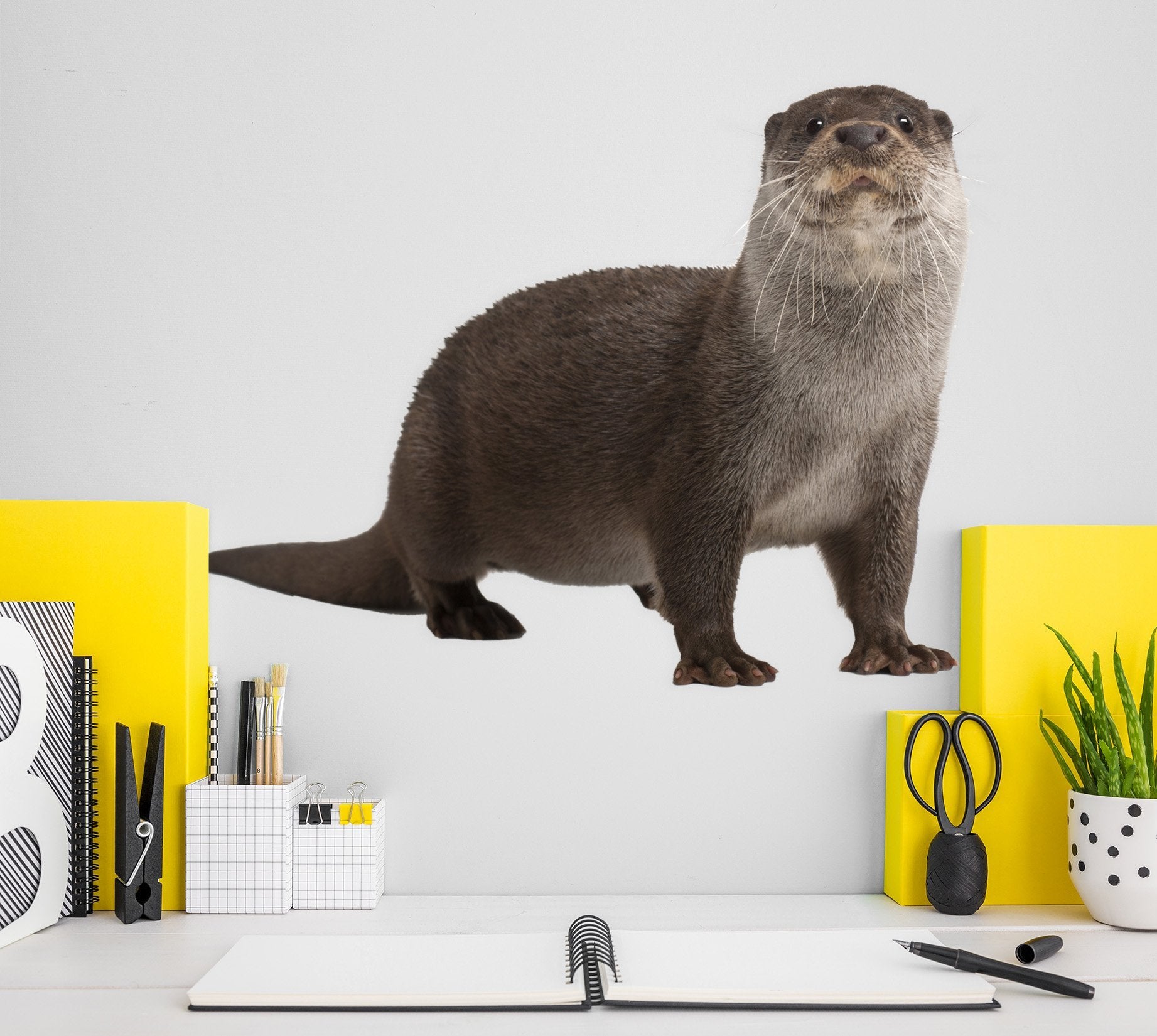 3D Sitting Sea Lion 085 Animals Wall Stickers Wallpaper AJ Wallpaper 