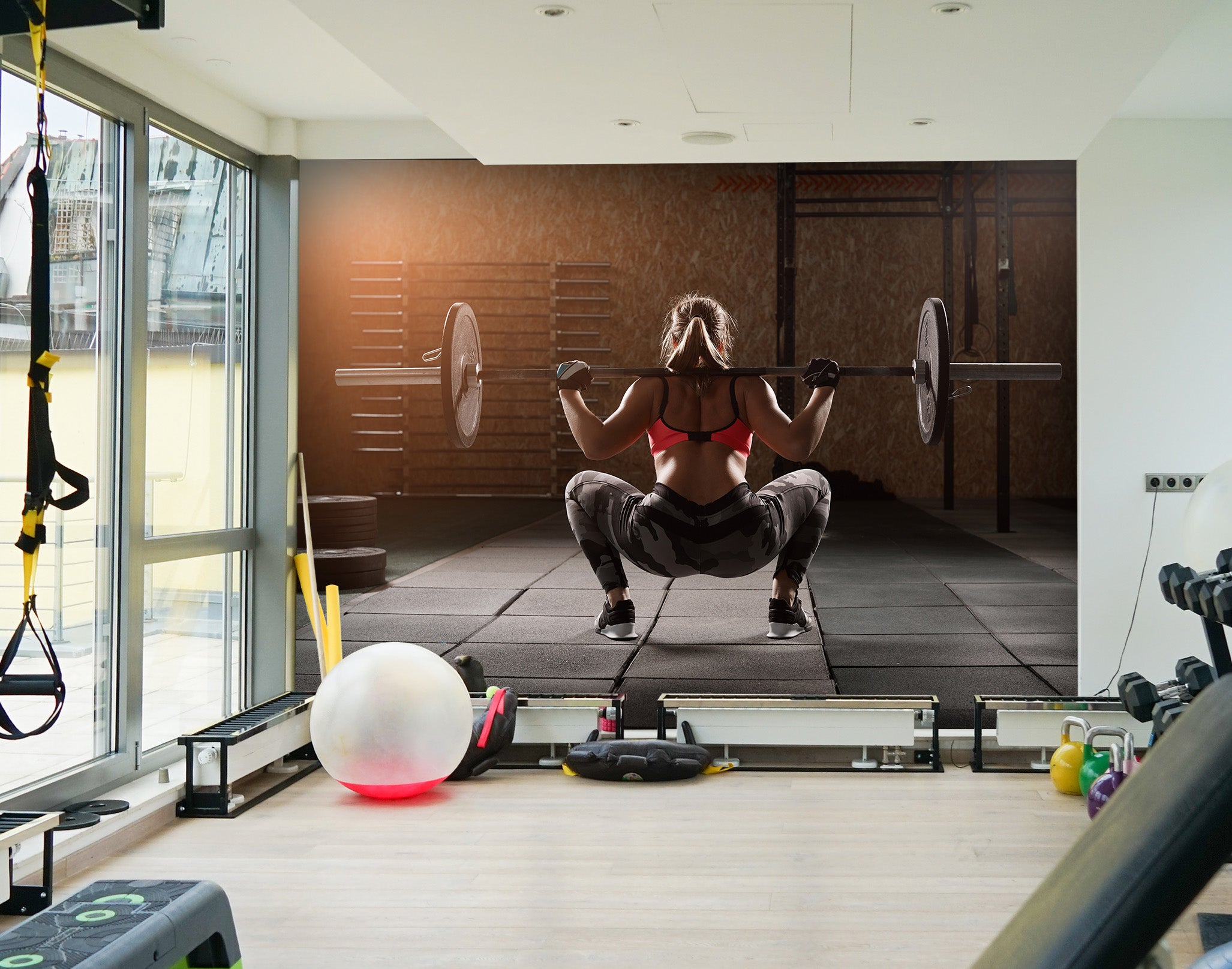 3D Dumbbell Squat 230 Wall Murals