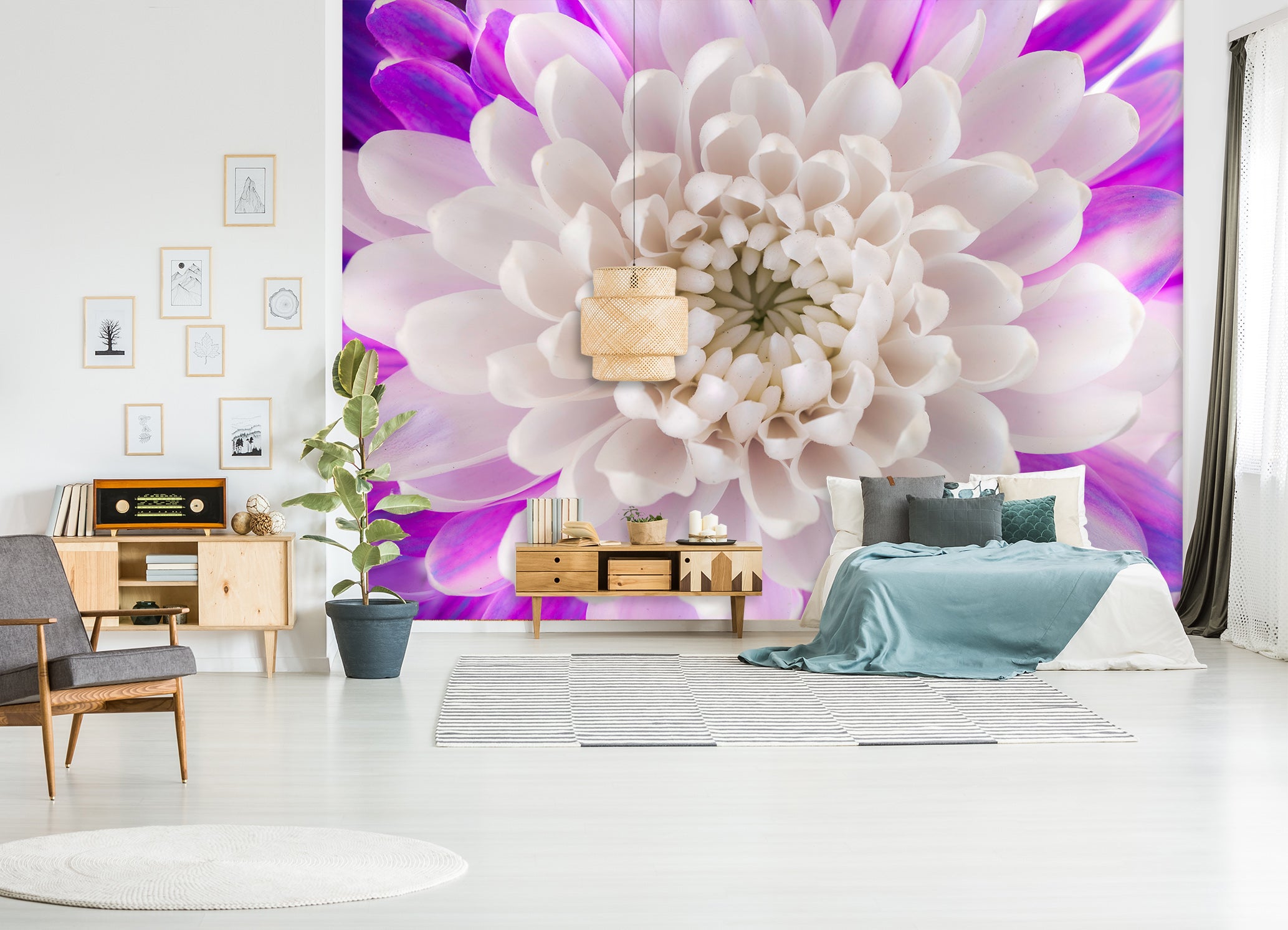 3D White Chrysanthemum 1421 Assaf Frank Wall Mural Wall Murals