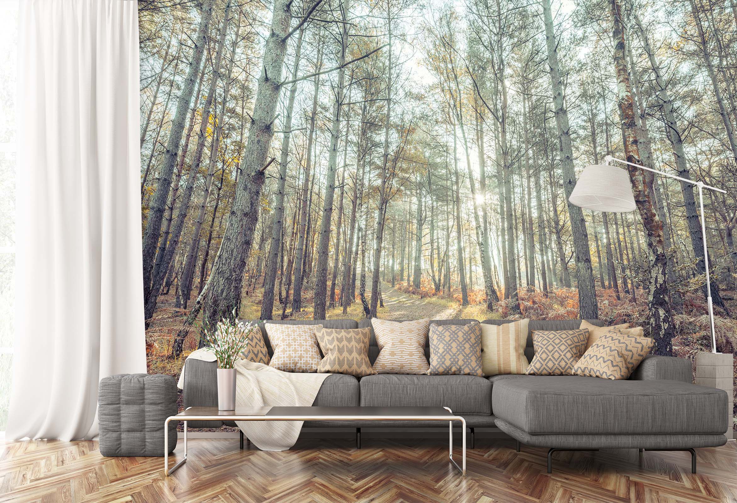 3D Sunshine Forest 6196 Assaf Frank Wall Mural Wall Murals