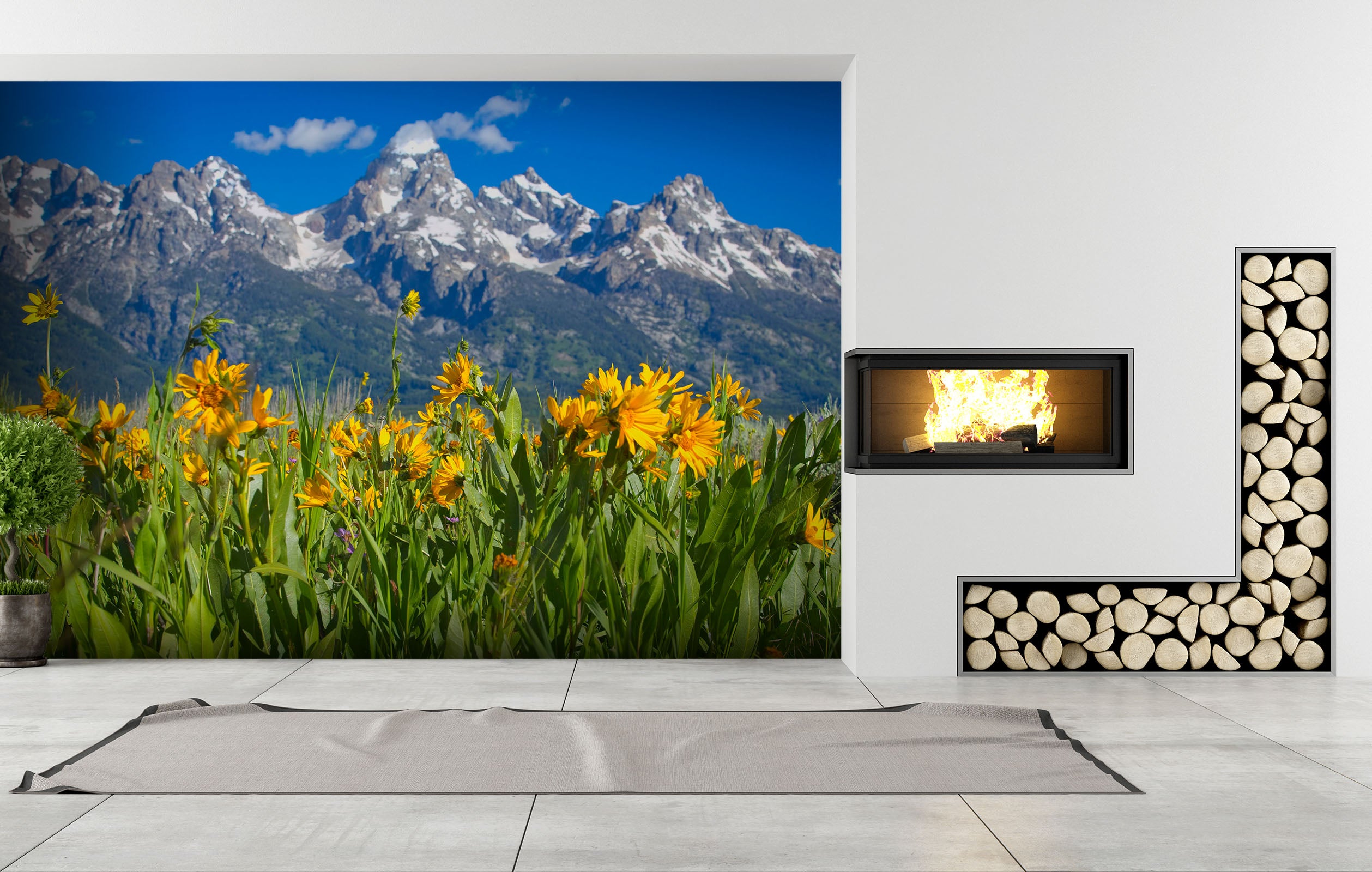 3D Flower Peak 119 Kathy Barefield Wall Mural Wall Murals