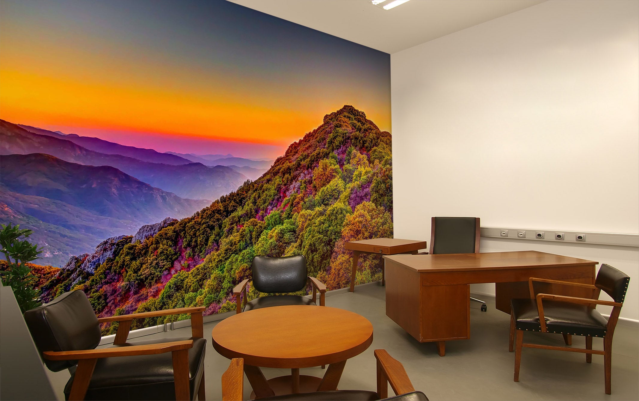 3D Sunset Mountain Forest 227 Wall Murals