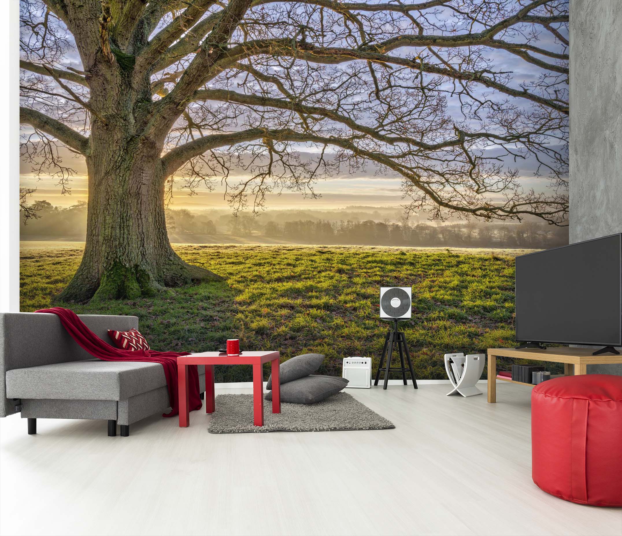 3D Stout Tree 071 Assaf Frank Wall Mural Wall Murals