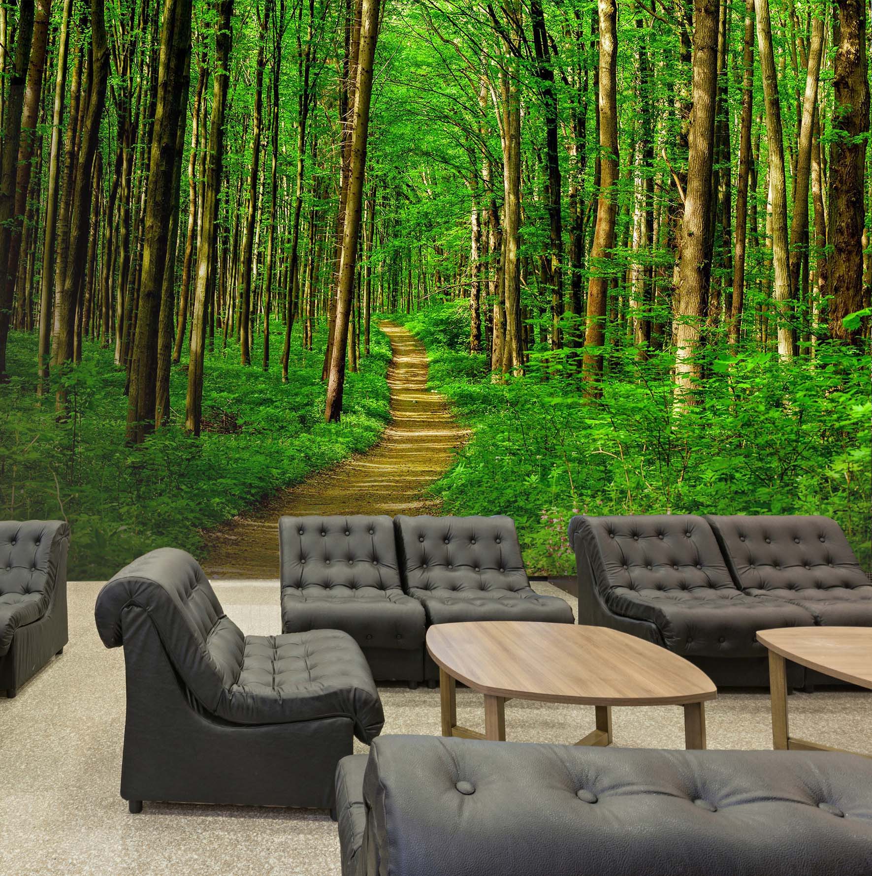 3D Forest Path 198 Wall Murals