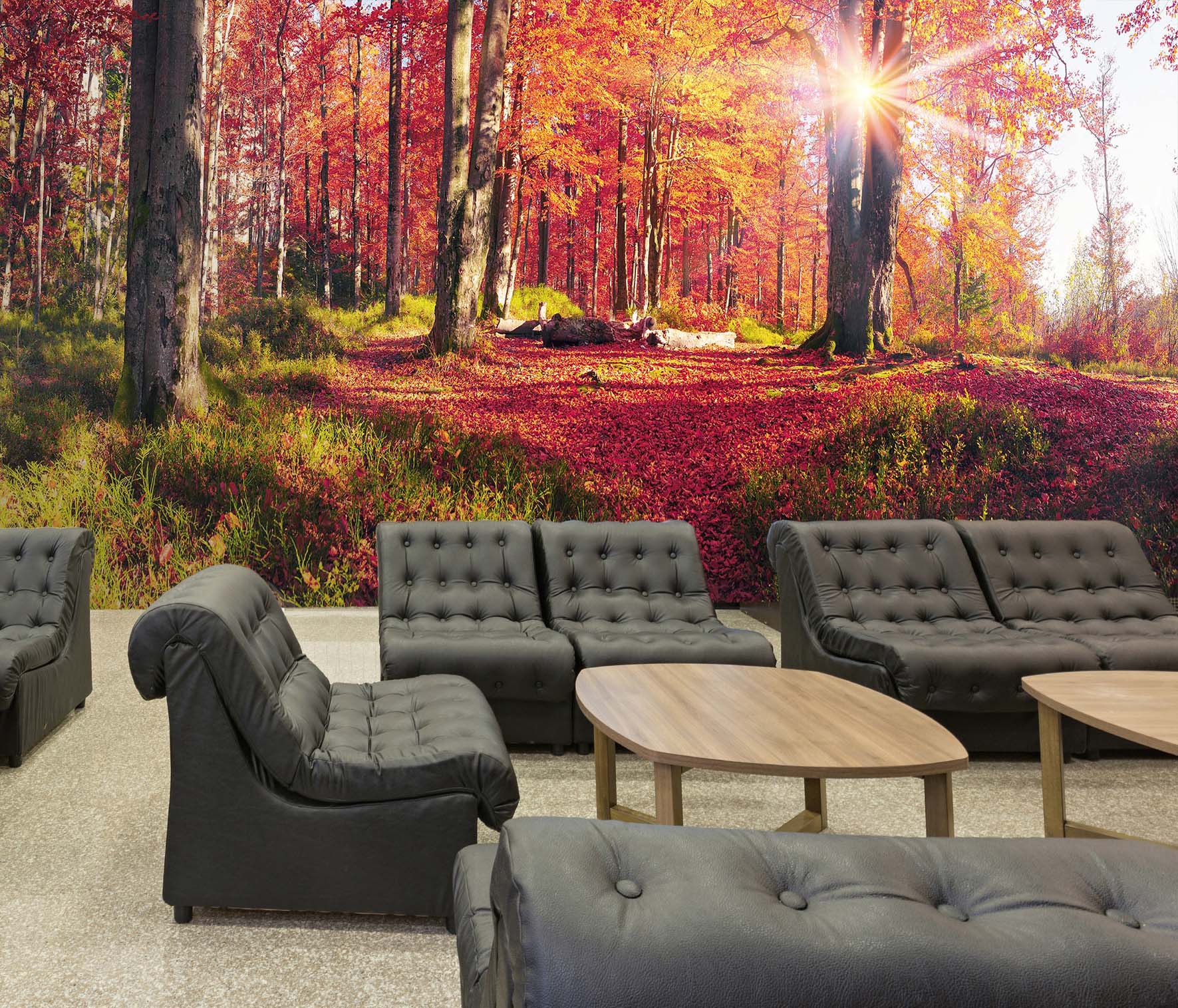 3D Maple Forest 214 Wall Murals