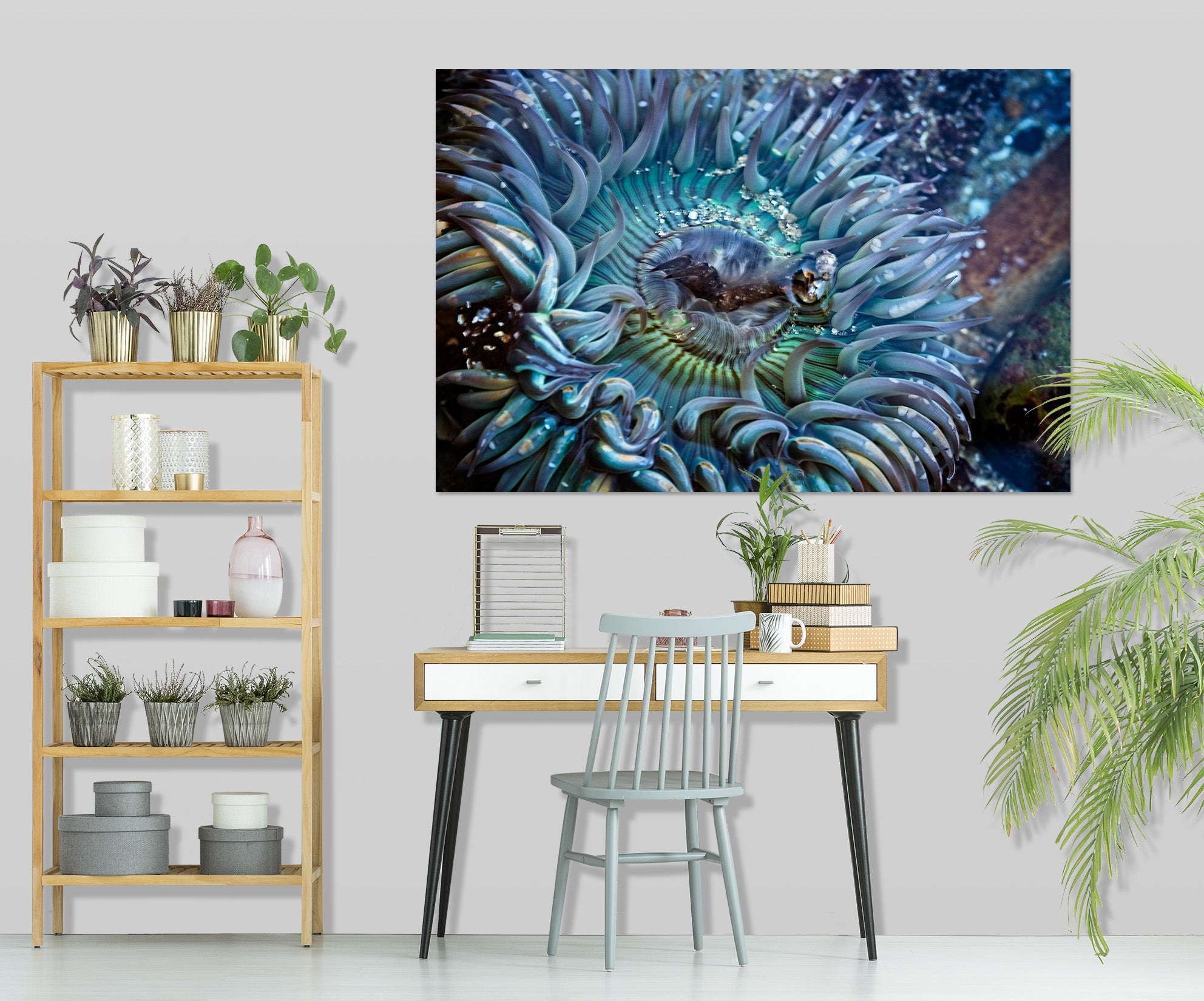 3D Tidepool Treasure 030 Kathy Barefield Wall Sticker