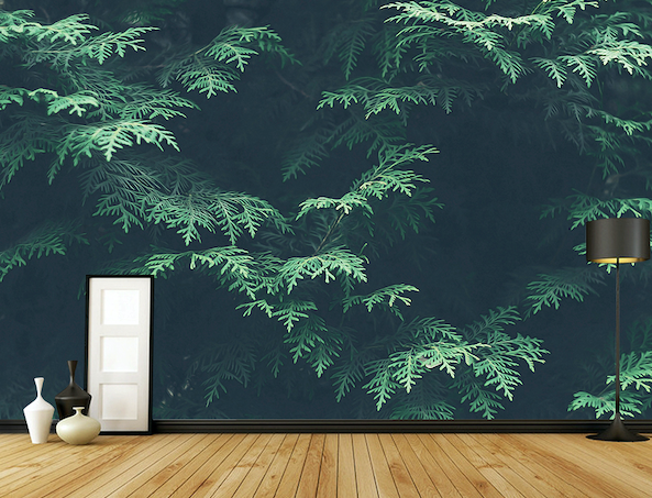 3D Jungle Leaves WG171 Wall Murals