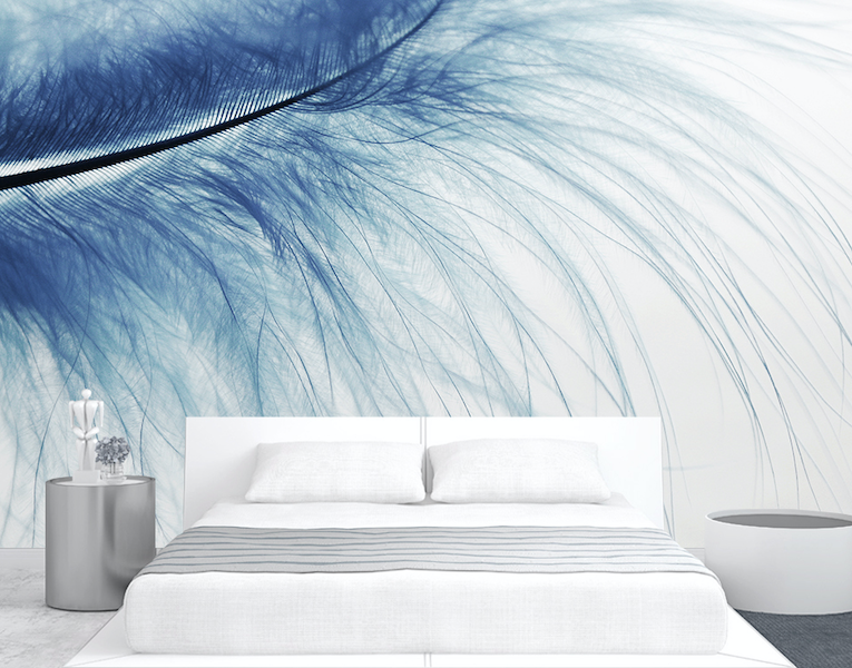 3D Soft Feather WG287 Wall Murals