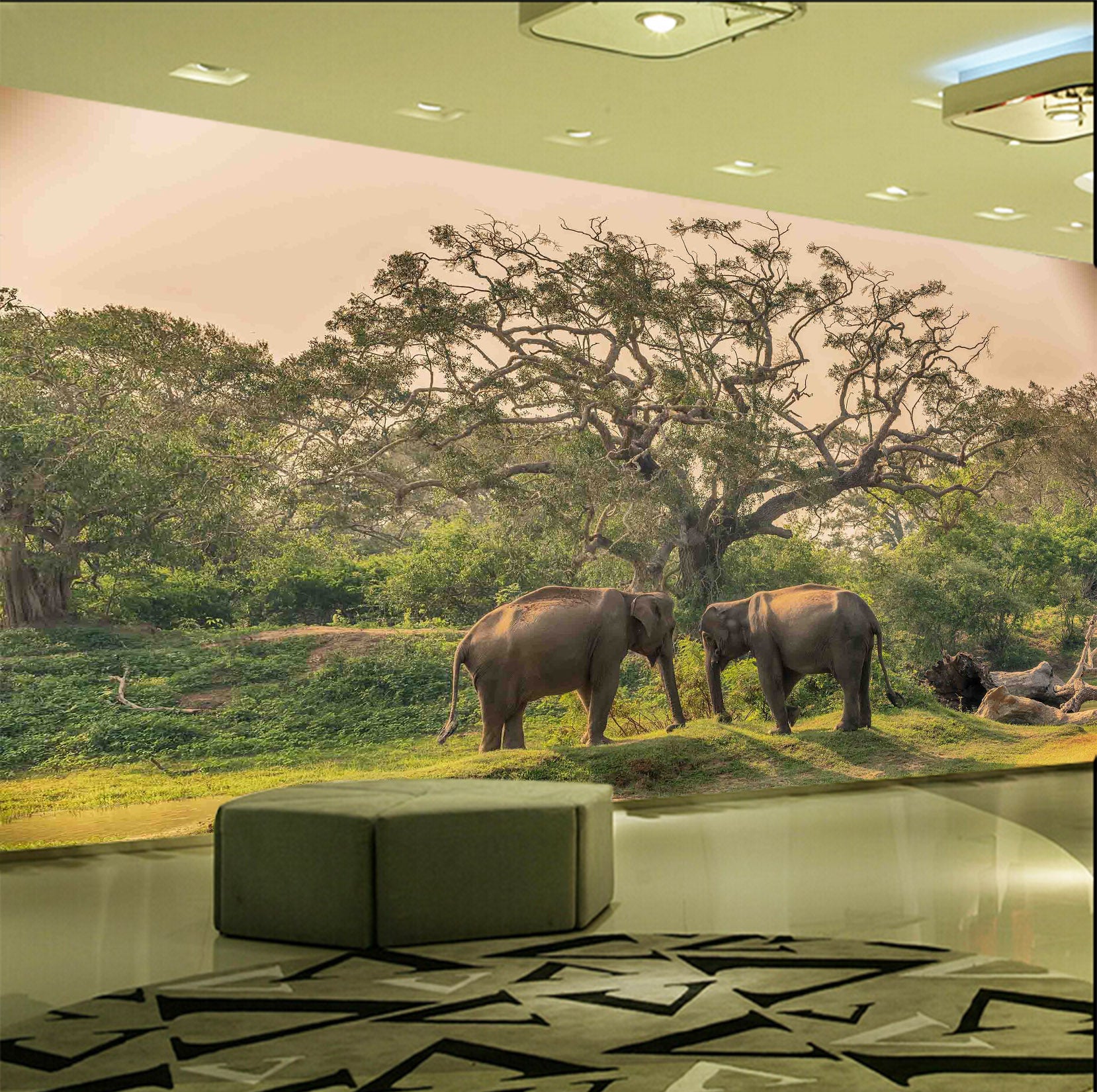 3D Elephant Family 1058 Wall Murals