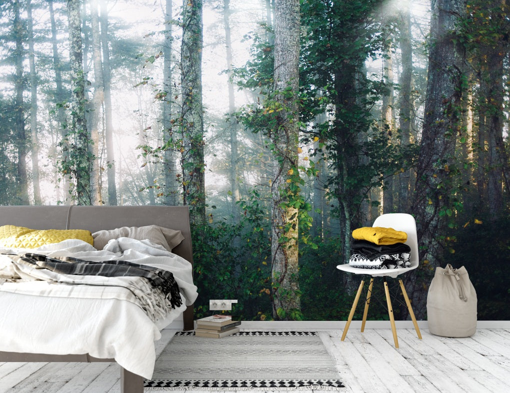 3D Forest Fog WC448 Wall Murals