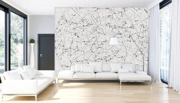 3D Dense Line Outline 1837 Wall Murals