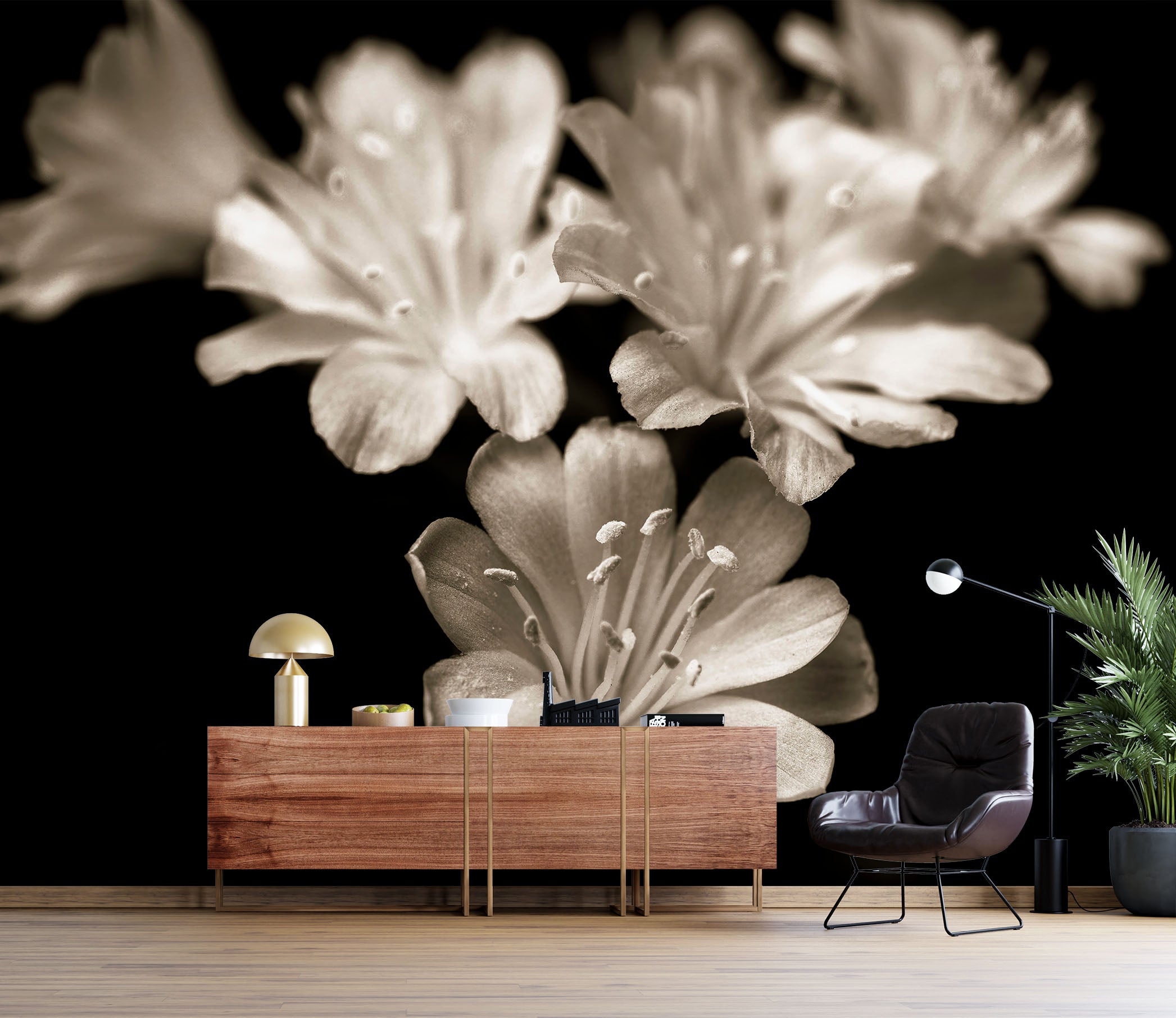 3D White Flower 6101 Assaf Frank Wall Mural Wall Murals