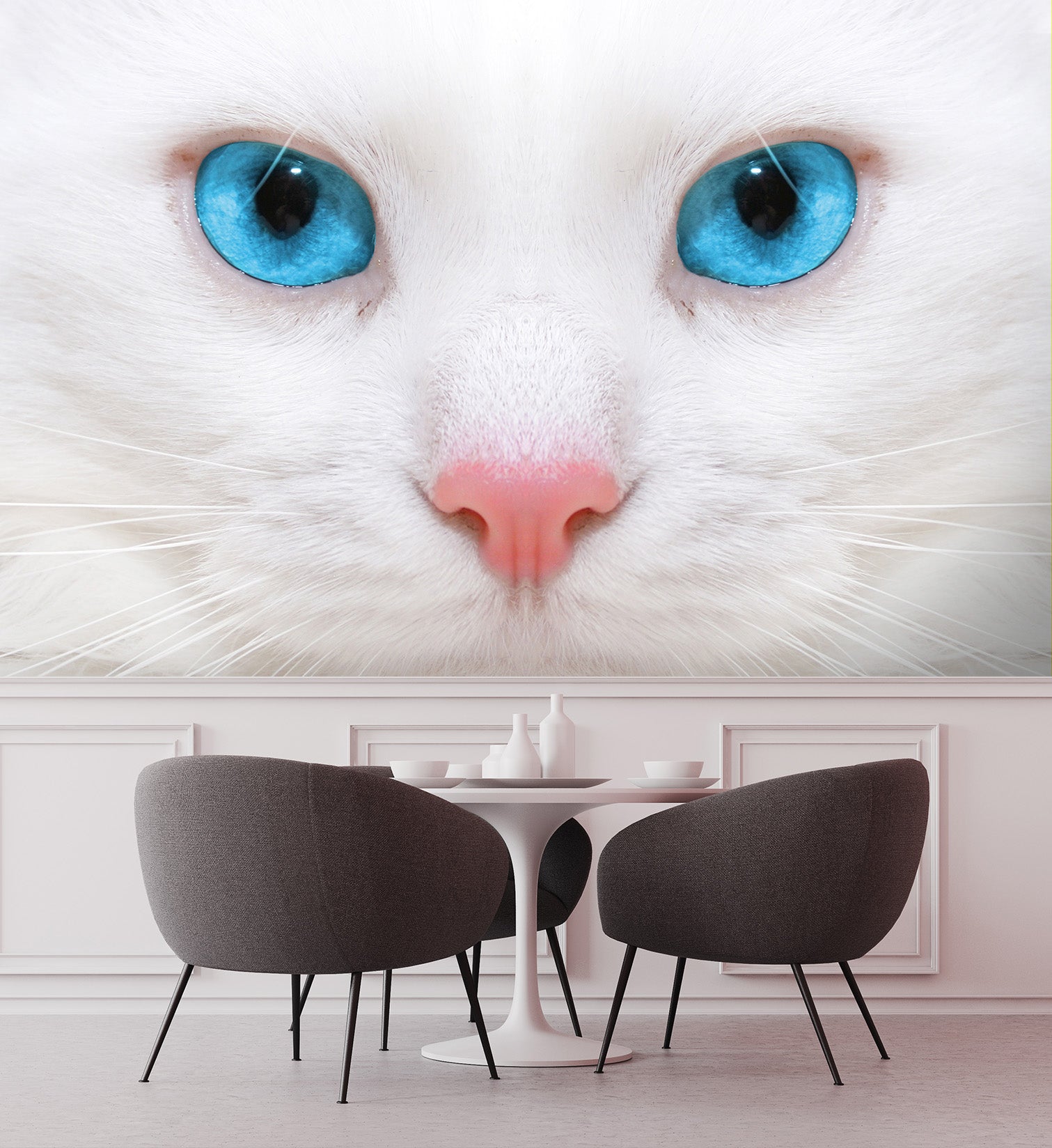 3D White Kitten 220 Wall Murals